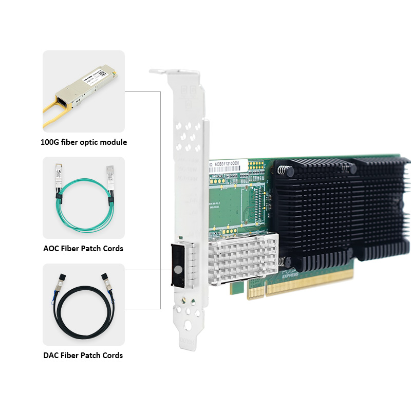 LR-LINK 1019PF-QSFP28 PCIe x16 - 100Gbe Qsfp28 Network Card incelemesi ve fiyatı